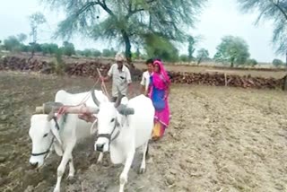 Jhalawar news, electricity for irrigation, झालावाड़ समाचार, किसान परेशान