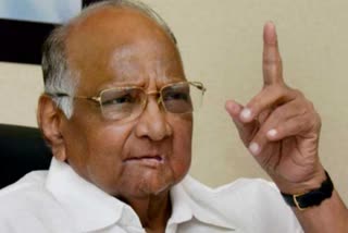 special story of ncp chief sharad pawar maharashtra