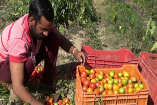 farmer started natural farming in solan