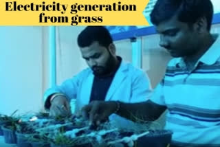 MP: University student generates electricity from grass