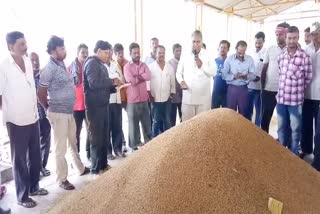 Bought paddy in Pakhanjur Krishi Upaj Mandi in Kanker