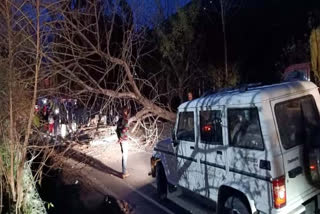 Kullu-Bhuntar Road block due to tree fall in kullu