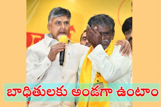 chandrababu fires on ycp govt