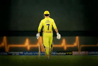 MS Dhoni news