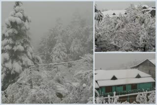 Himachal Pradesh Kinnaur district receives snowfall