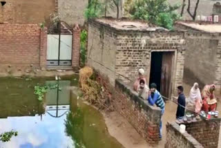 rain water entered in tohana village