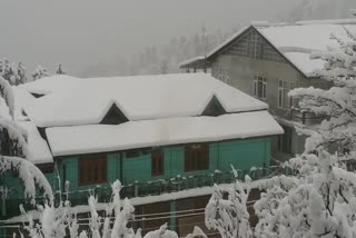 heavy-snowfall-in-kinnaur district