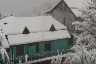 heavy snowfall in kinnaur