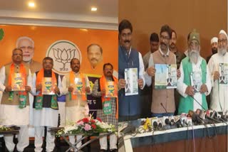 BJP manifesto