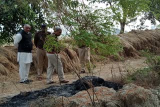 Burning dead body in field