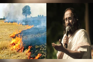 Burning of straw main cause of pollution in Delhi says shri shri ravishankar