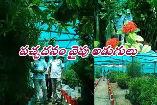 nurseries in gunthakallu railwway division