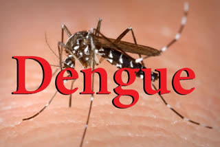 dengue