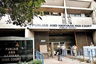 punjab and haryana hc