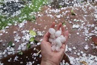 hailstorm in bhiwani