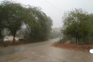 raining in bhiwani farmer happy