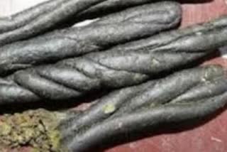 A man from UP arrested with 680 grams charas in Manali