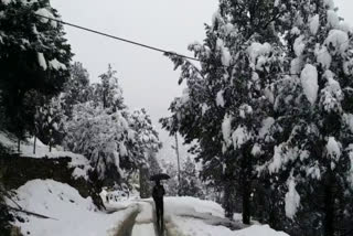 heavy snowfall in kinnaur