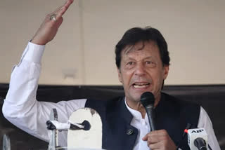 Trees produce oxygen at night says Imran Khan