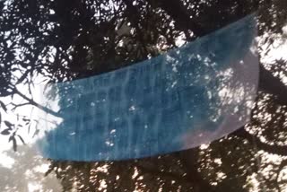 Naxalites put up a banner near police station