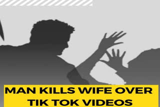 Andhra man kills wife for posting TikTok videos