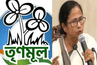 Mamata