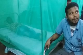 Number of dengue patients increasing in Raigarh