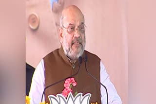 BJP will completely uproot Naxalism in Jharkhand: Amit Shah  jharkhand election  naxalism  bjp will uproot naxalism  amit shah's promise at election rally at jharkhand  അധികാരത്തിലെത്തിയാല്‍ ജാര്‍ഖണ്ഡില്‍ നക്‌സലിസത്തെ വേരോടെ പിഴിതെറിയുമെന്ന്‌ അമിത്‌ ഷാ  ബിജെപി