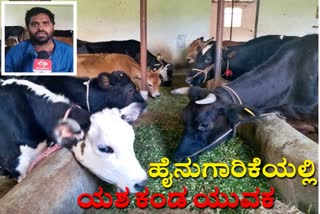 Success in dairy farming