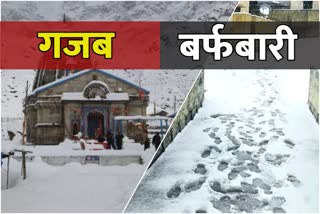 heavy snowfall in kedarnath dham