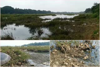 ಪ್ಲಾಸ್ಟಿಕ್​ನಿಂದ ಆವರಿಸಿಕೊಂಡಿರುವ ತುಂಗೆ, failed to maintain cleanliness in tunga river