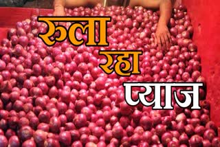 Bhupesh Baghel will write letter to central government to reduce onion prices