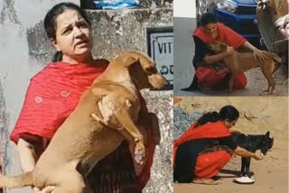 The mother who loves street dogs ...