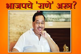 BJP may give chance to narayan rane on legislative council