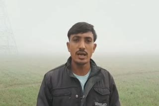 first mist of winter in Fatehabad