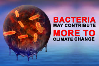 Bacteria may contribute more to climate change as planet heats up