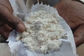 Goalpara CDPO cell run with rotten rice