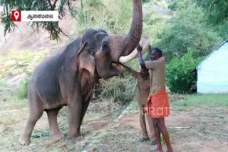 coimbatore kumki kaleem loveable relationship with his pagan