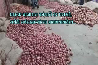 onion price fall in wholesale market in new mumbai