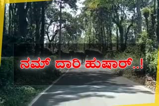 kodagu-elephant-attack-incidents