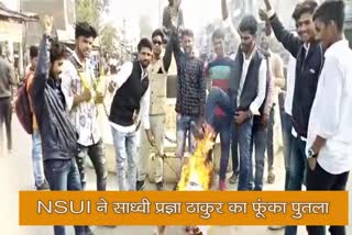 दौसा न्यूज, dausa news, pragya thakur latest news, प्रज्ञा ठाकुर लेटेस्ट न्यूज, दौसा में प्रज्ञा का जला पुतला, NSUI burnt effigy of Sadhvi Pragya