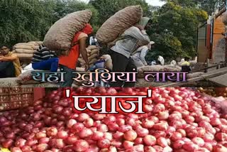 price hike, alwar, farmers in alwar, onion news, alwar news, अलवर न्यूज, प्याज की कीमत, प्याज से किसान खुश