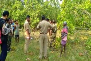 women died in elephant attack