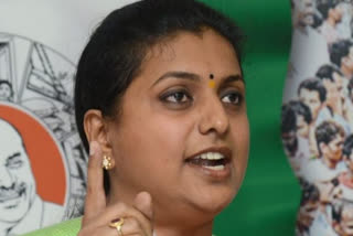 roja comments of priyanka reddy case