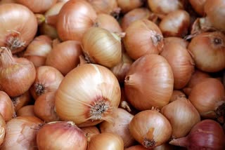 Imported Onion reached Andhra, from Egypt