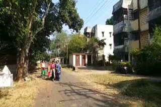 Leopard enters in the Resident area