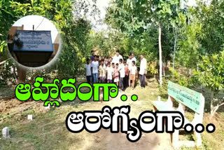 GREENARY IN SOCIAL WELFARE BOYS HOSTEL IN PRAKASHAM GIDHALURU