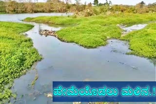 Hemavathi river pollution in hassan, ಕಲುಷಿತಗೊಂಡ ಹೇಮಾವತಿ