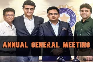BCCI Apex Council meeting held on sunday