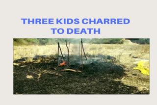 3 minor girls charred to death after haystack catches fire